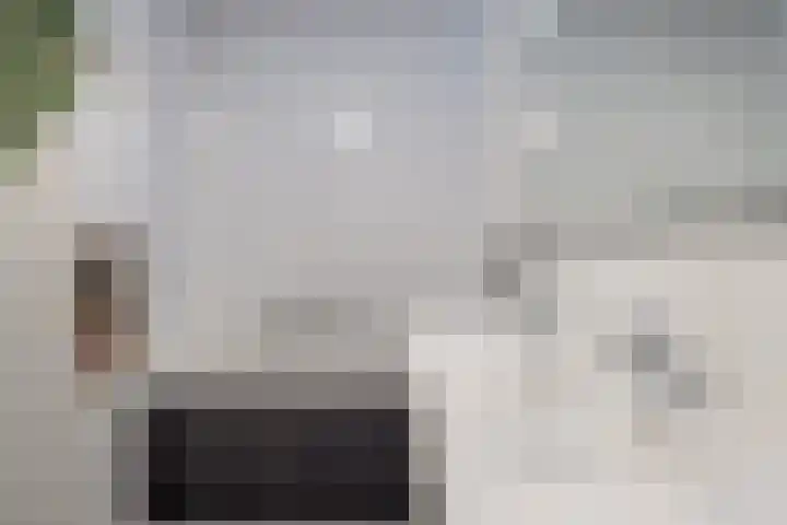 Zilveresdoorn 14 Cuijk thumbnail 24