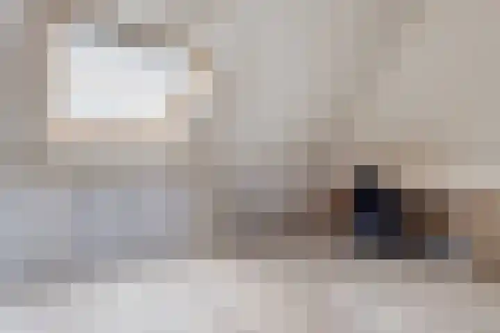 Zilveresdoorn 14 Cuijk thumbnail 27