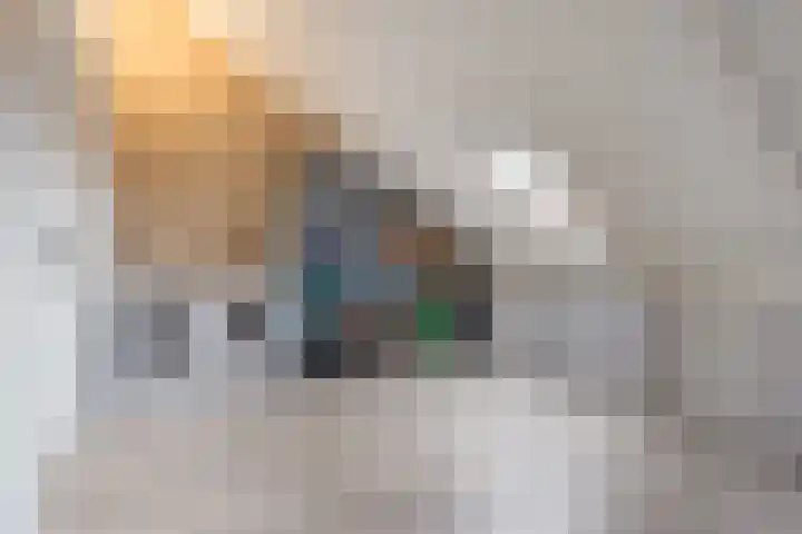 Zilveresdoorn 14 Cuijk thumbnail 28
