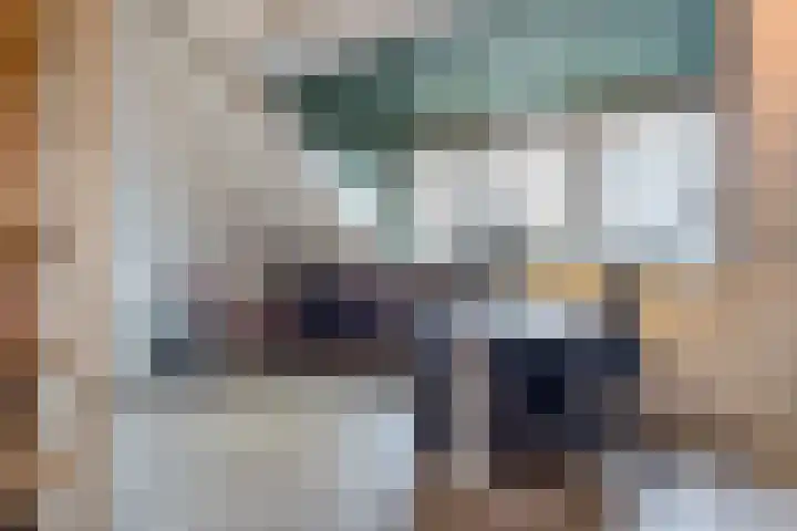 Zilveresdoorn 14 Cuijk thumbnail 29