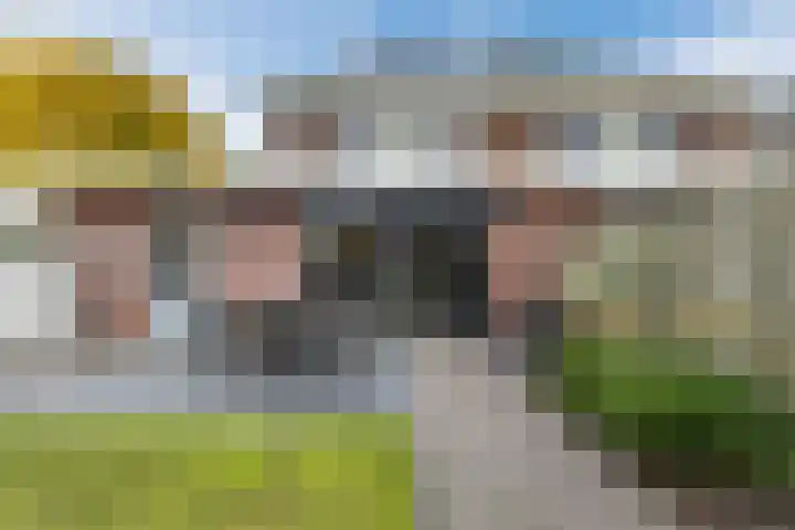 Zilveresdoorn 14 Cuijk thumbnail 30