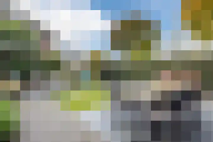 Zilveresdoorn 14 Cuijk thumbnail 31