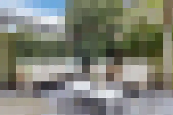 Zilveresdoorn 14 Cuijk thumbnail 32
