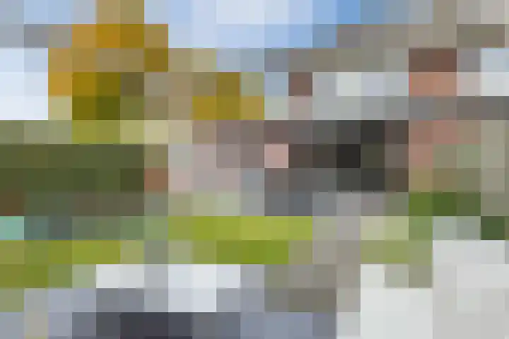 Zilveresdoorn 14 Cuijk thumbnail 33