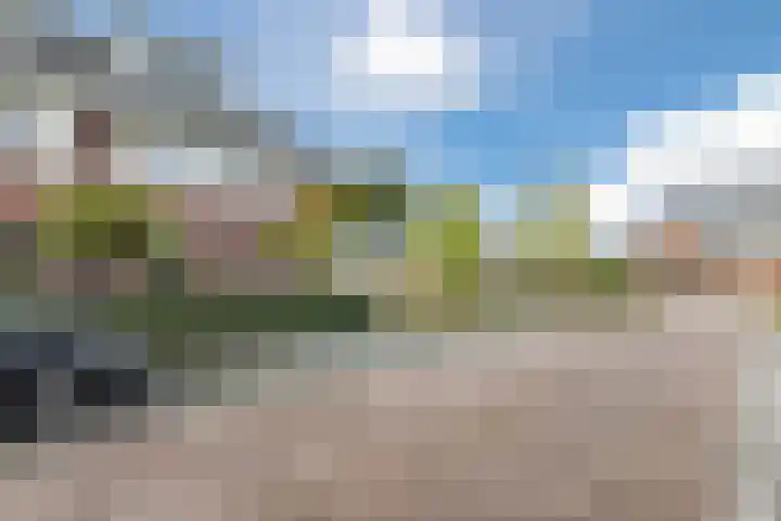 Zilveresdoorn 14 Cuijk thumbnail 35