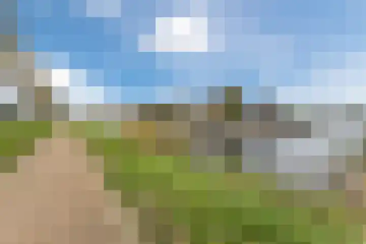 Zilveresdoorn 14 Cuijk thumbnail 36