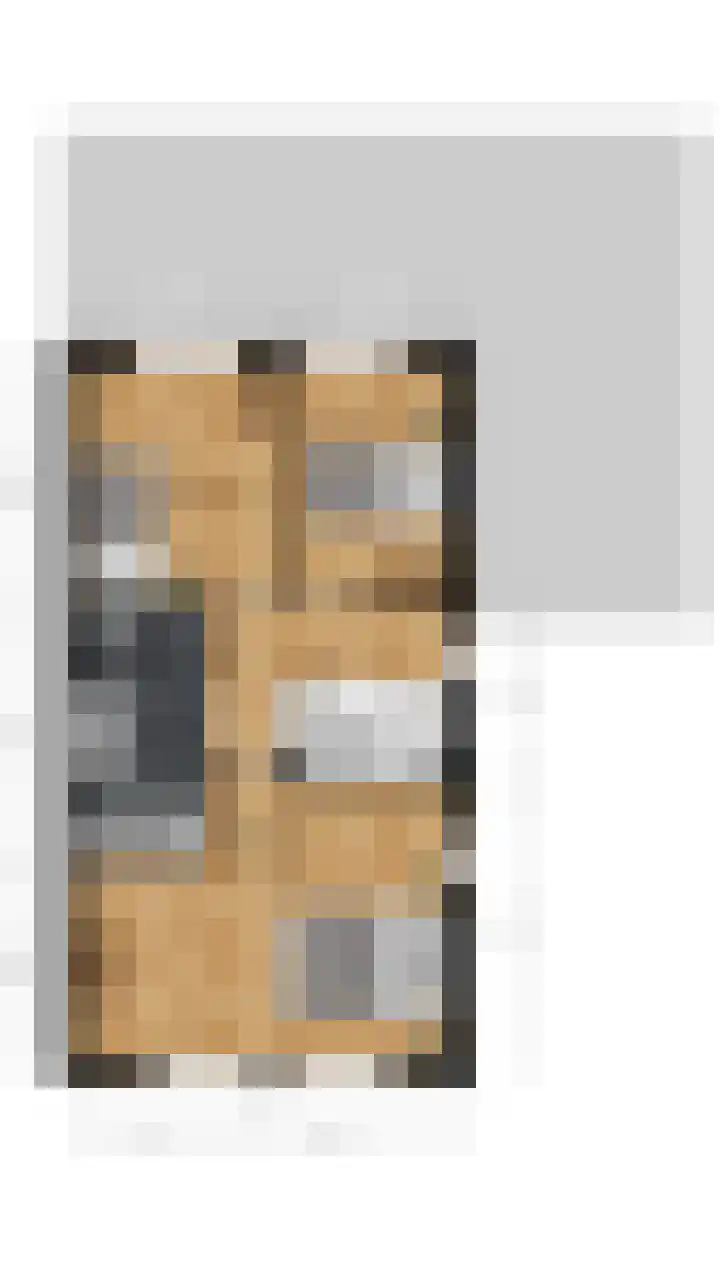 Zilveresdoorn 14 Cuijk thumbnail 38