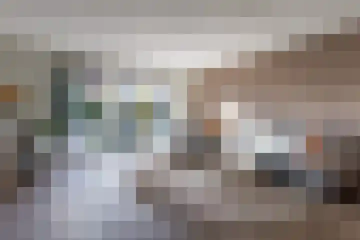 Zilveresdoorn 14 Cuijk thumbnail 4