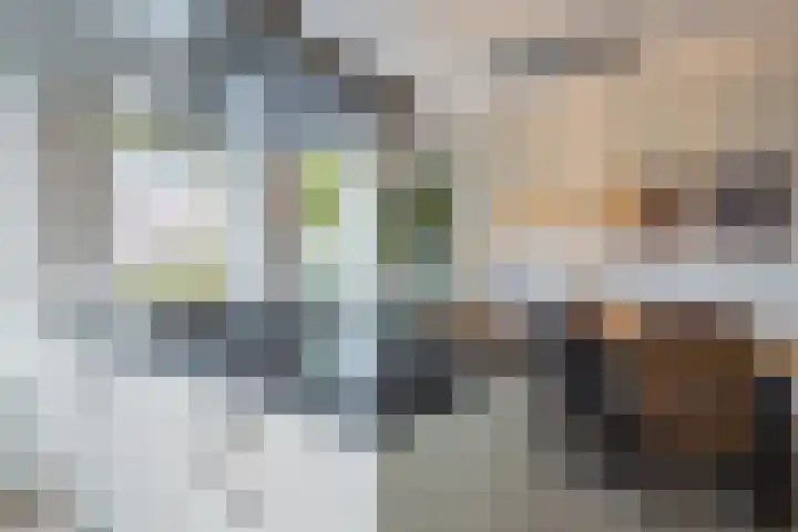 Zilveresdoorn 14 Cuijk thumbnail 5