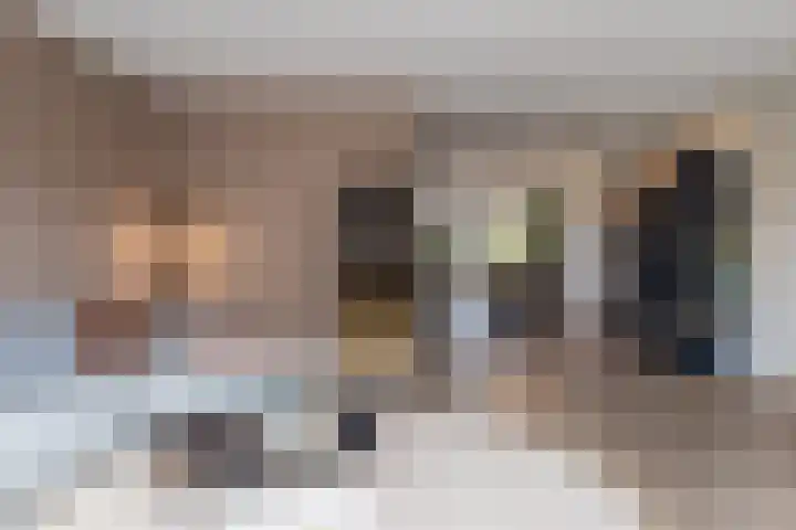 Zilveresdoorn 14 Cuijk thumbnail 8