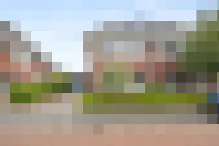 Zilveresdoorn 19 Cuijk