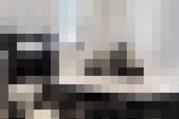 Zilvergesp 9 Volendam thumbnail 27