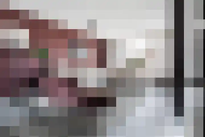 Zilvergesp 9 Volendam thumbnail 9