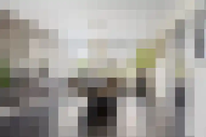 Zilverijzer 6 Volendam thumbnail 10