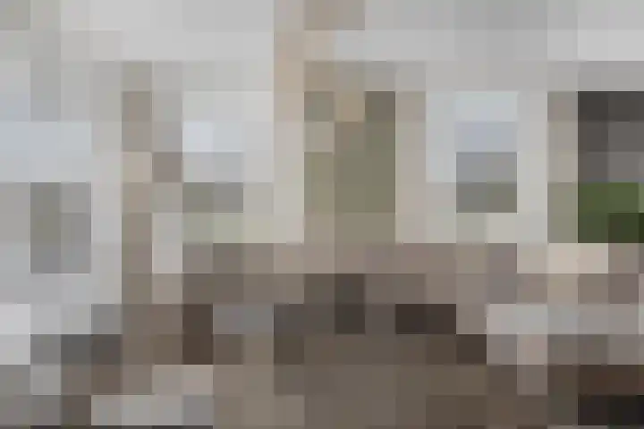 Zilverijzer 6 Volendam thumbnail 5
