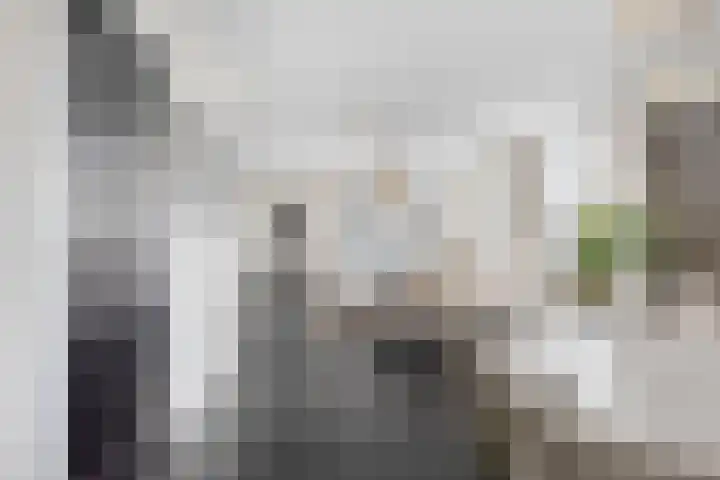 Zilverijzer 6 Volendam thumbnail 8