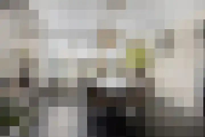 Zilverijzer 6 Volendam thumbnail 9