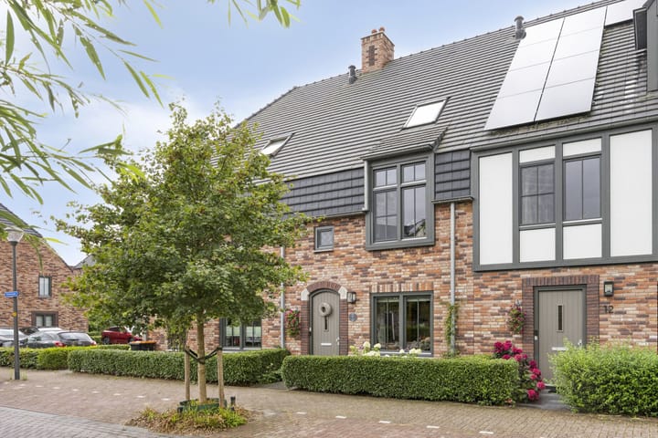 Zilverkarper 10 in Waddinxveen