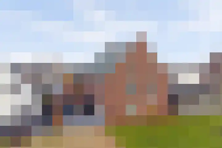 Zilverkarper 4 Vlijmen