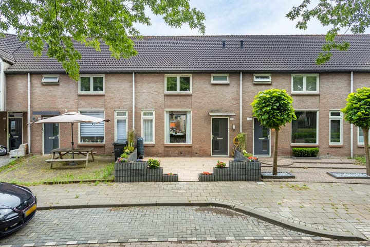 Zilvermeeuw 102 in Etten-Leur foto