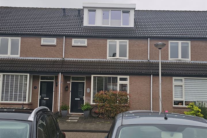 Zilvermeeuw 117 in Etten-Leur foto