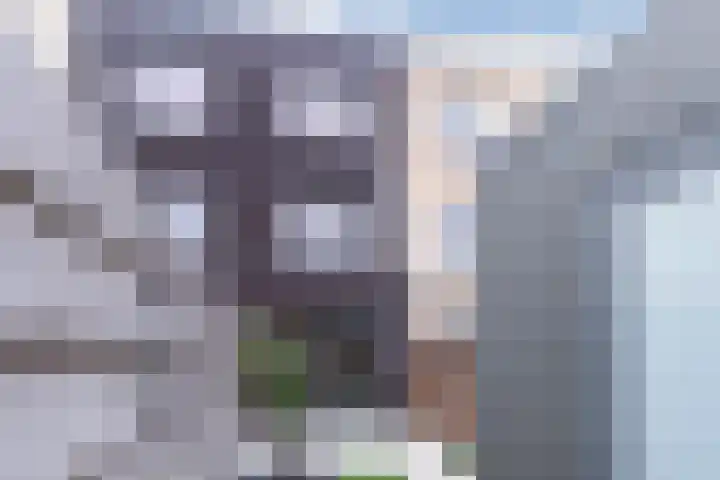 Zilverreigerdreef 26 Pijnacker thumbnail 12