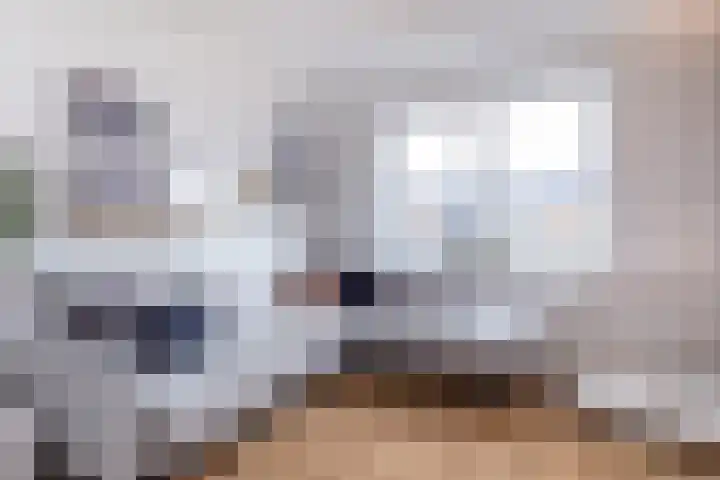 Zilverreigerdreef 26 Pijnacker thumbnail 15