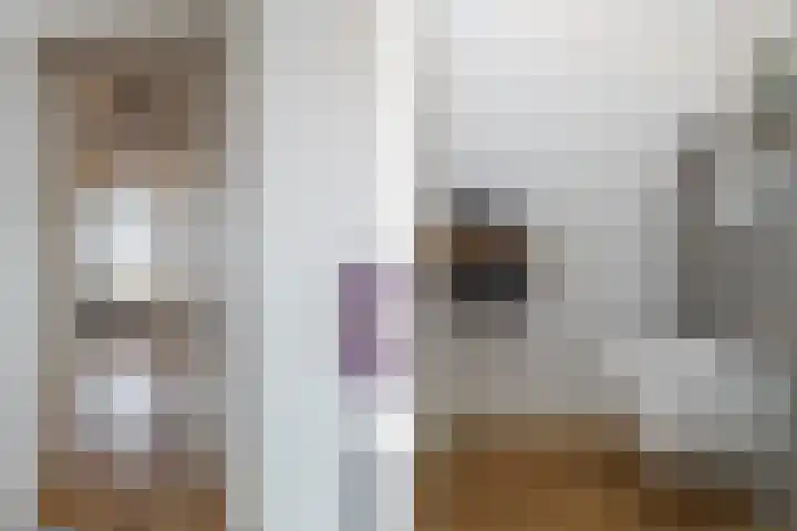 Zilverreigerdreef 26 Pijnacker thumbnail 24