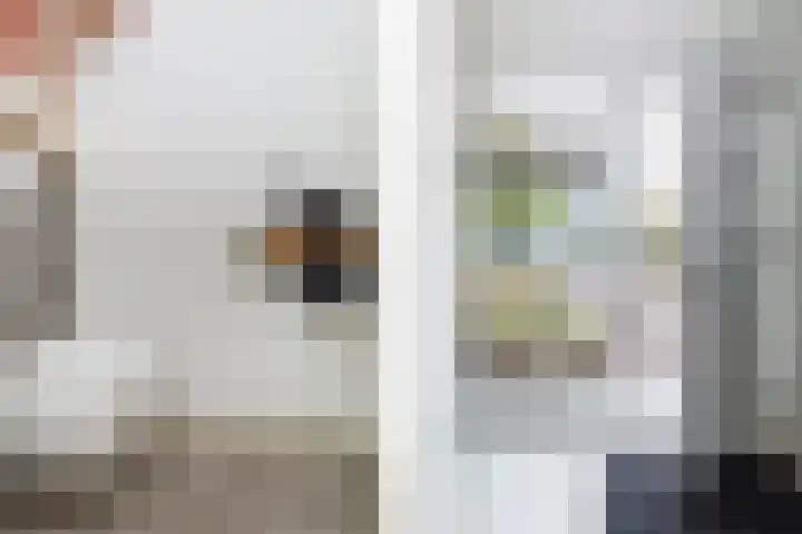Zilverreigerdreef 26 Pijnacker thumbnail 34