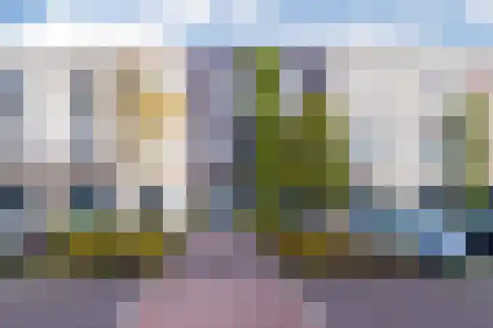 Zilverreigerdreef 26 Pijnacker thumbnail 35