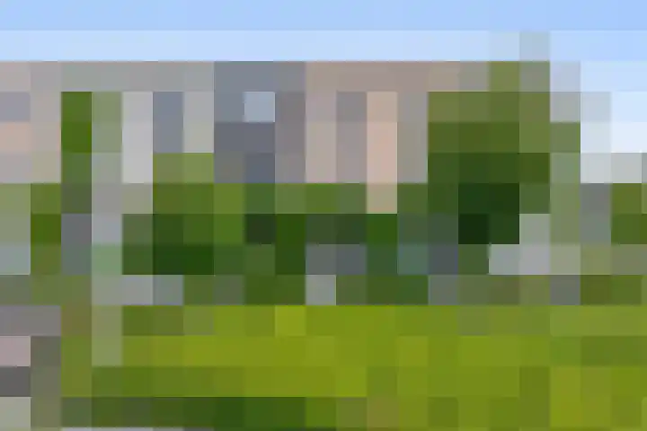 Zilverreigerdreef 6 Pijnacker