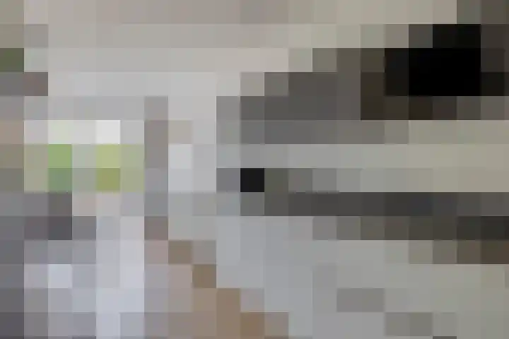Zilverreigerdreef 6 Pijnacker thumbnail 11