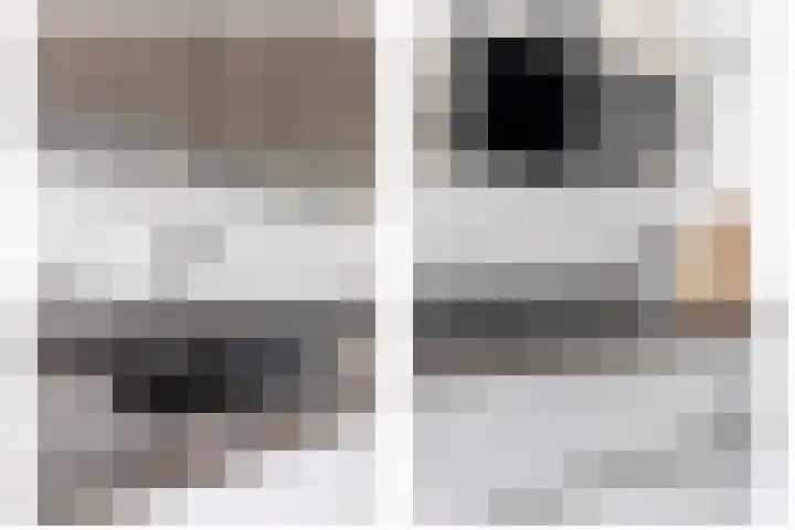 Zilverreigerdreef 6 Pijnacker thumbnail 12