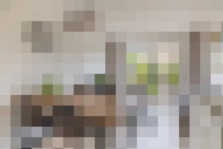 Zilverreigerdreef 6 Pijnacker thumbnail 14