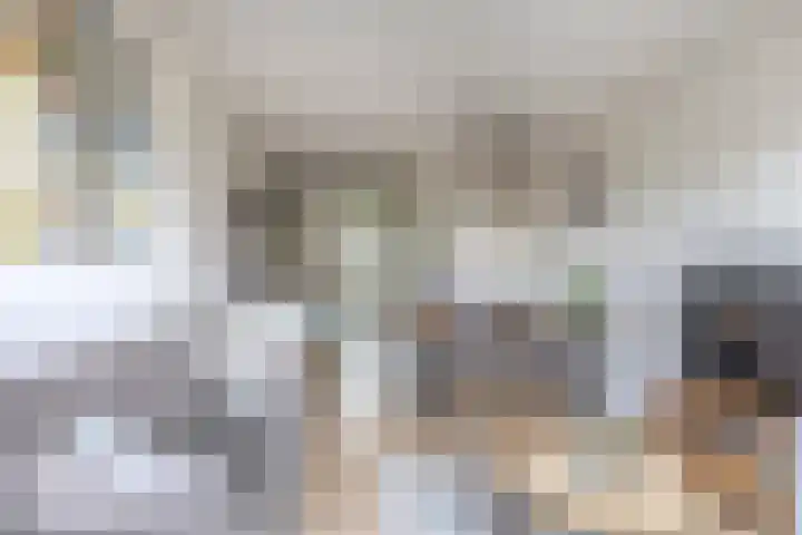 Zilverreigerdreef 6 Pijnacker thumbnail 16