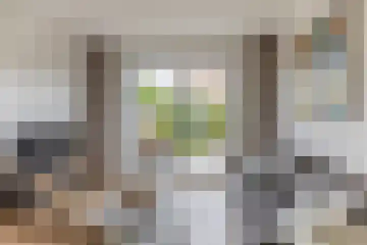 Zilverreigerdreef 6 Pijnacker thumbnail 17