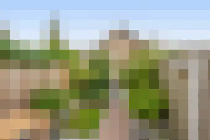 Zilverreigerdreef 6 Pijnacker thumbnail 18