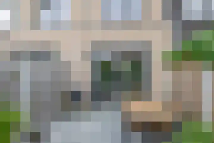 Zilverreigerdreef 6 Pijnacker thumbnail 19