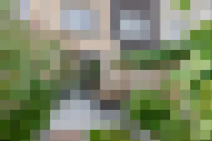 Zilverreigerdreef 6 Pijnacker thumbnail 20
