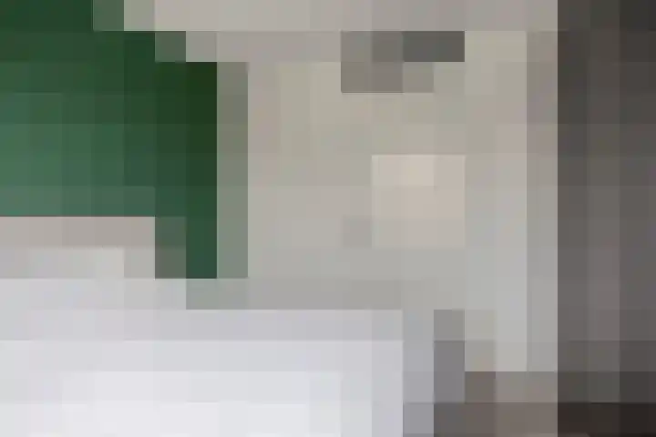 Zilverreigerdreef 6 Pijnacker thumbnail 23