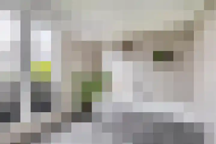 Zilverreigerdreef 6 Pijnacker thumbnail 24