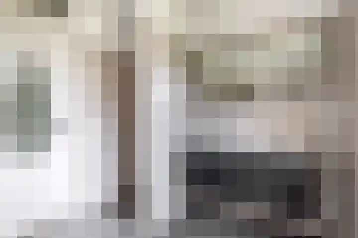 Zilverreigerdreef 6 Pijnacker thumbnail 25