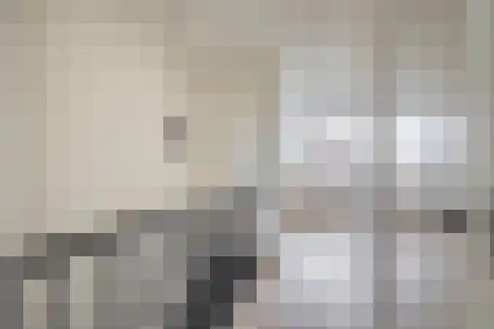 Zilverreigerdreef 6 Pijnacker thumbnail 28