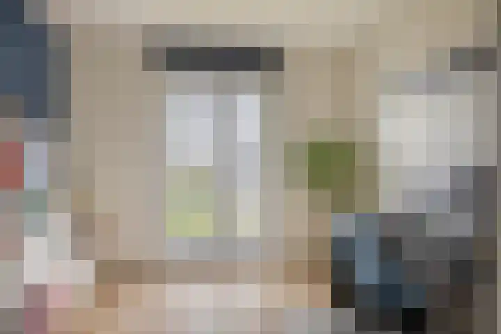 Zilverreigerdreef 6 Pijnacker thumbnail 30
