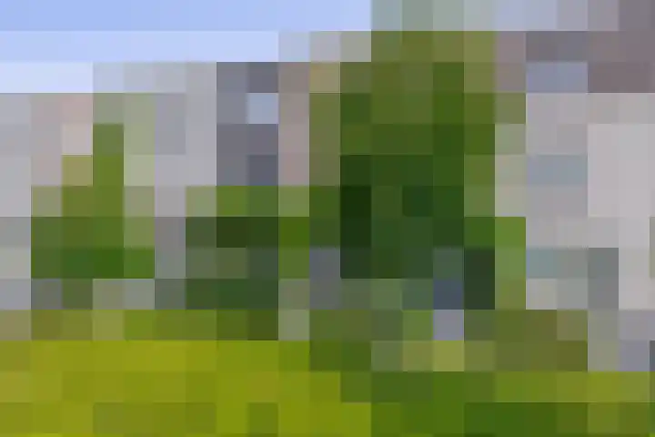 Zilverreigerdreef 6 Pijnacker thumbnail 33