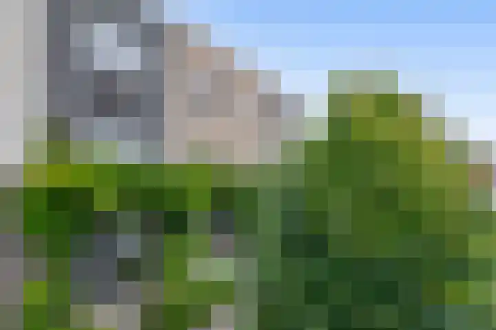 Zilverreigerdreef 6 Pijnacker thumbnail 5