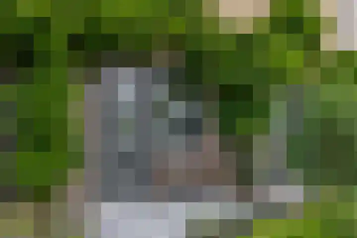 Zilverreigerdreef 6 Pijnacker thumbnail 6