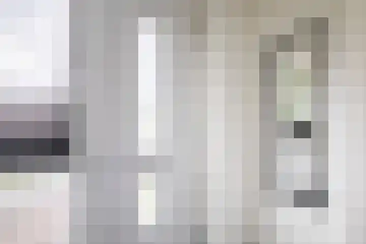 Zilverreigerdreef 6 Pijnacker thumbnail 7