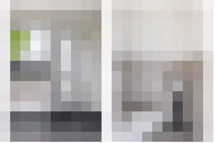 Zilverreigerdreef 6 Pijnacker thumbnail 8