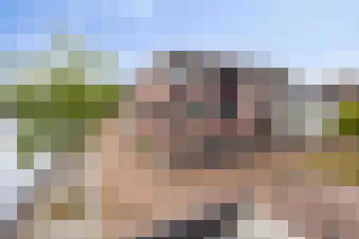 Zilverschat 45 in Cuijk